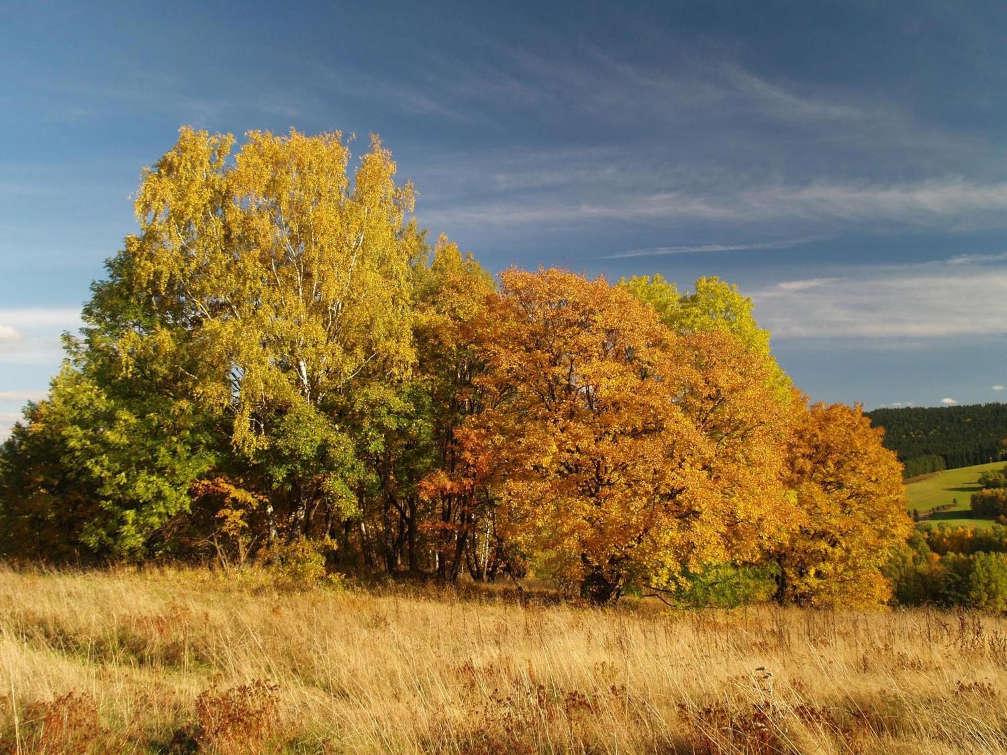 U Nás Smržovka Exterior foto